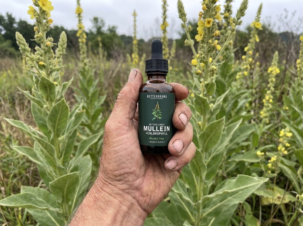 A hand holding the BetterLungs Mullein plus Chlorophyll bottle in a field of wild mullein